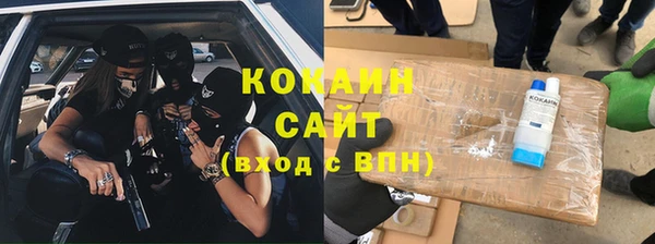 гашик Белокуриха