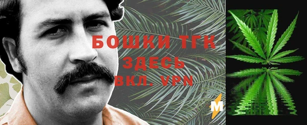 гашик Белокуриха