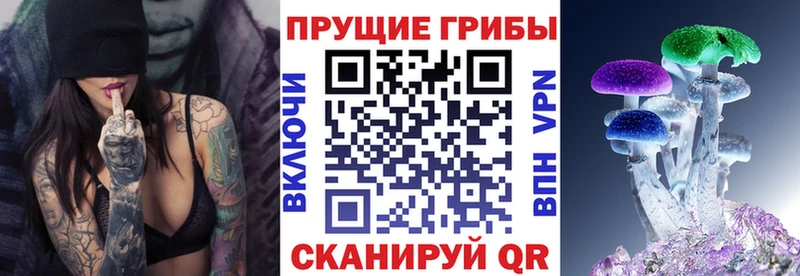 Псилоцибиновые грибы GOLDEN TEACHER omg вход Сланцы наркотики